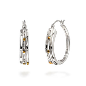Gold & Silver Hoop Earring