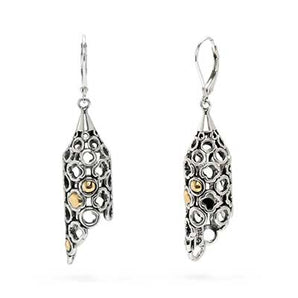 Gold & Silver Earring Plain Motif